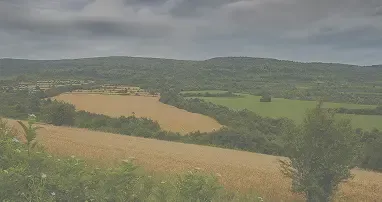 写真がグレーアウト前