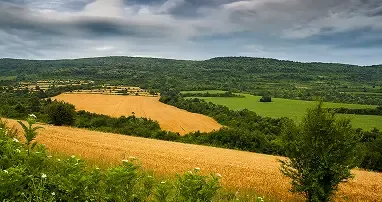 写真がグレーアウト後
