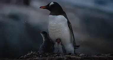露出オーバーまたは露出不足前