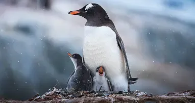 露出オーバーまたは露出不足後