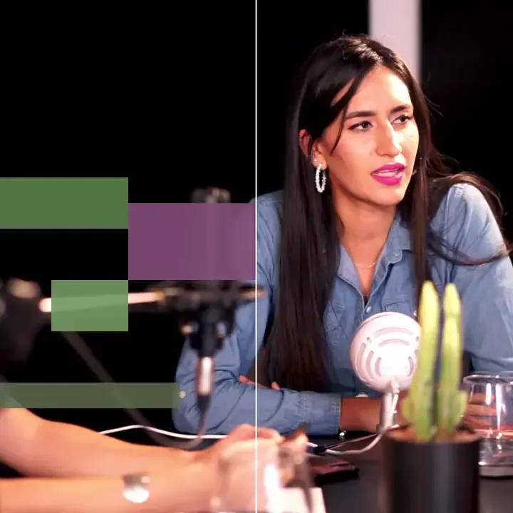 Exemplo de reparo MOV: blocos coloridos interrompem a filmagem da entrevista enquanto a referencia reproduz normalmente.