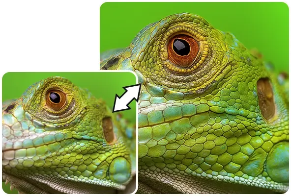 Image Upscaler Online Free, Download Without Watermark